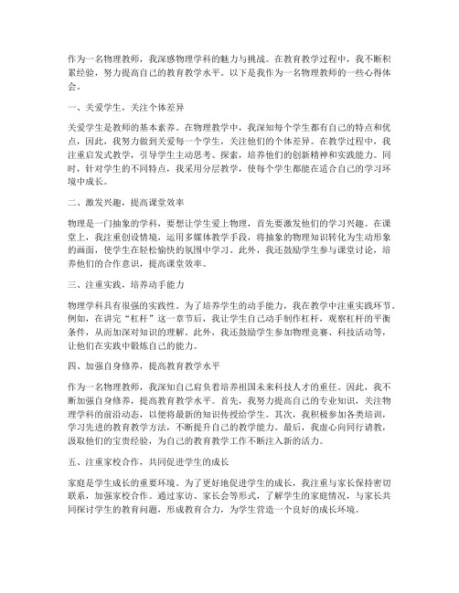 物理教师个人心得体会