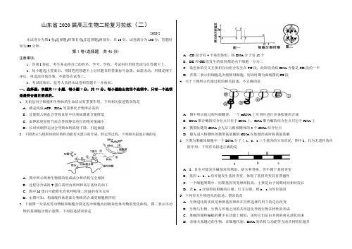 山东省2020届高三生物二轮复习拉练(二)带答案