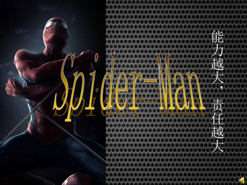 Spider Man 蜘蛛侠