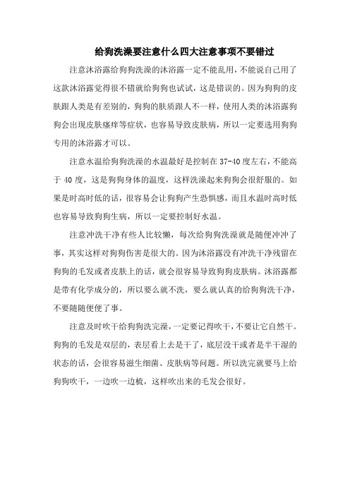 给狗洗澡要注意什么四大注意事项不要错过