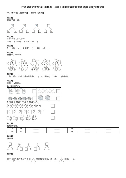 江苏省淮安市2024小学数学一年级上学期统编版期末测试(强化卷)完整试卷