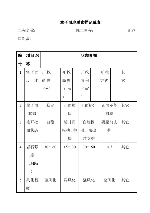 掌子面地质素描记录表