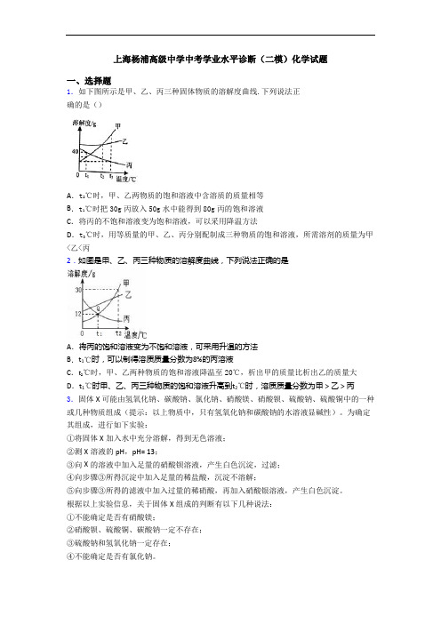 上海杨浦高级中学中考学业水平诊断(二模)化学试题