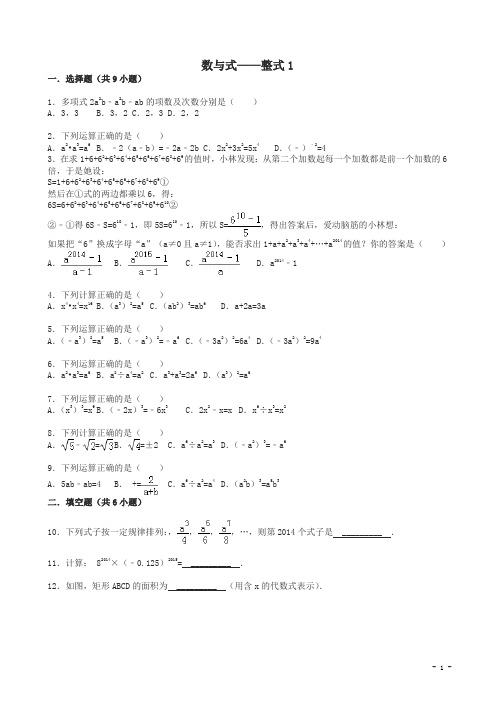 中考数学总复习整式-精练精析及答案解析