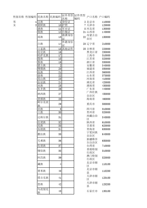 民族代码