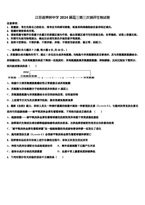 江苏省黄桥中学2024届高三第三次测评生物试卷含解析