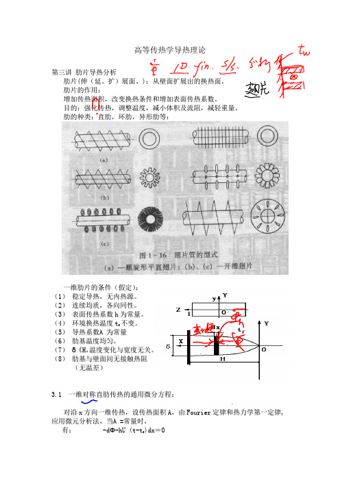 浙大高等传学肋片分析