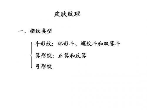 皮肤纹理