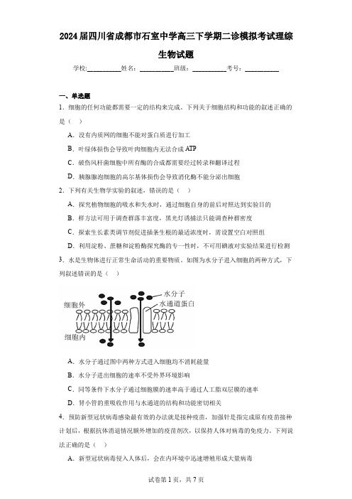 2024届四川省成都市石室中学高三下学期二诊模拟考试理综生物试题