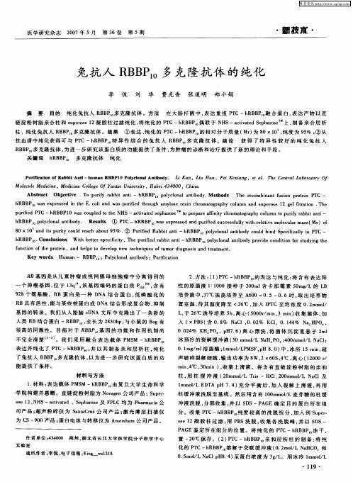 兔抗人RBBP10多克隆抗体的纯化