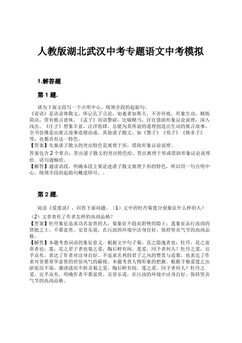 人教版湖北武汉中考专题语文中考模拟试卷及解析