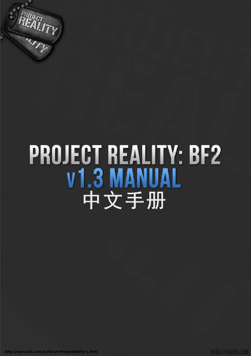 Project--Reality--中文手册