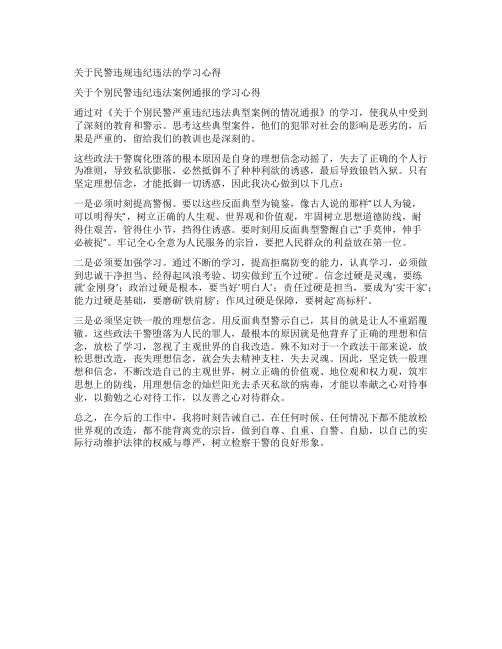 关于民警违规违纪违法的学习心得