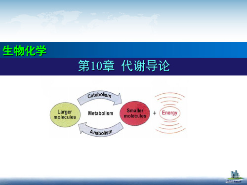 生物化学课件：11 代谢导论
