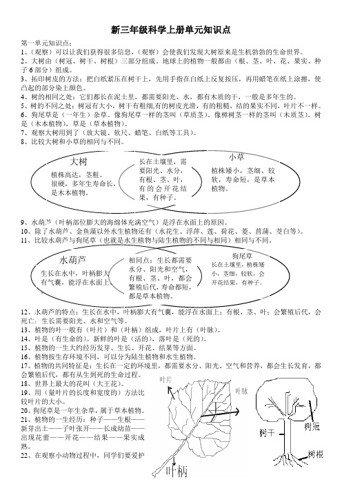 三年级科学上册知识点(教科版)