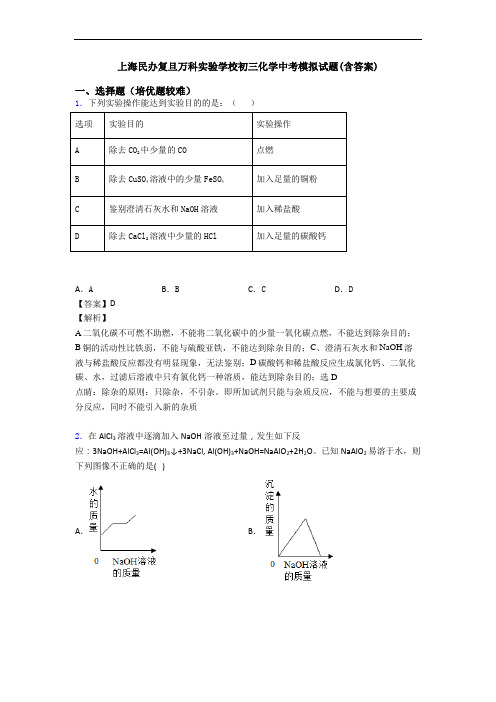 上海民办复旦万科实验学校初三化学中考模拟试题(含答案)