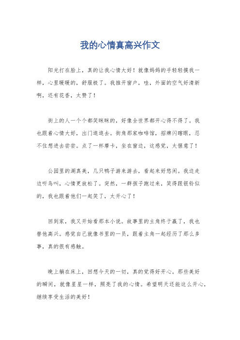 我的心情真高兴作文