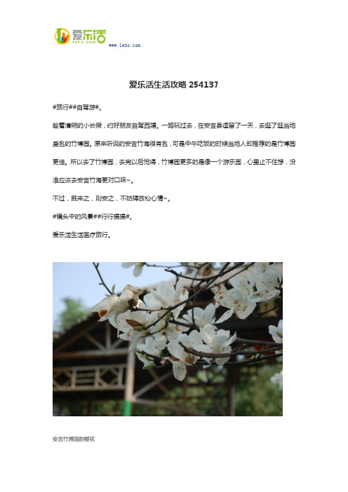 爱乐活生活攻略254137