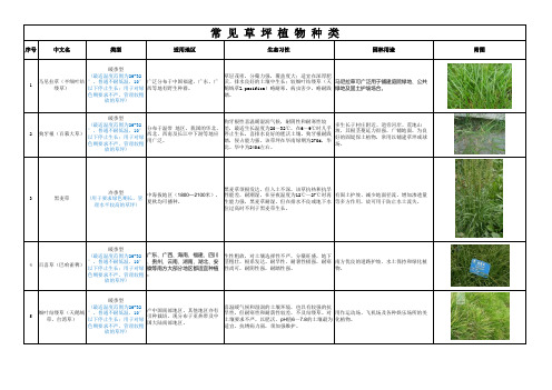 常见草坪植物