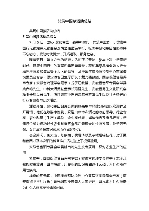 共筑中国梦活动总结