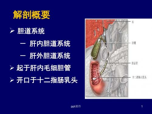 胆道病特殊检查及护理  ppt课件