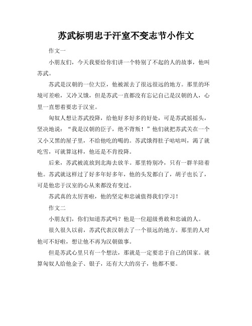 苏武标明忠于汗室不变志节小作文