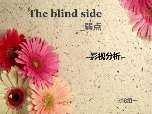 影片弱点-影评分析PPT课件