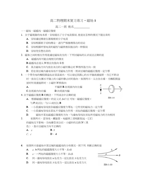 高二物理期末复习练习-磁场.docx