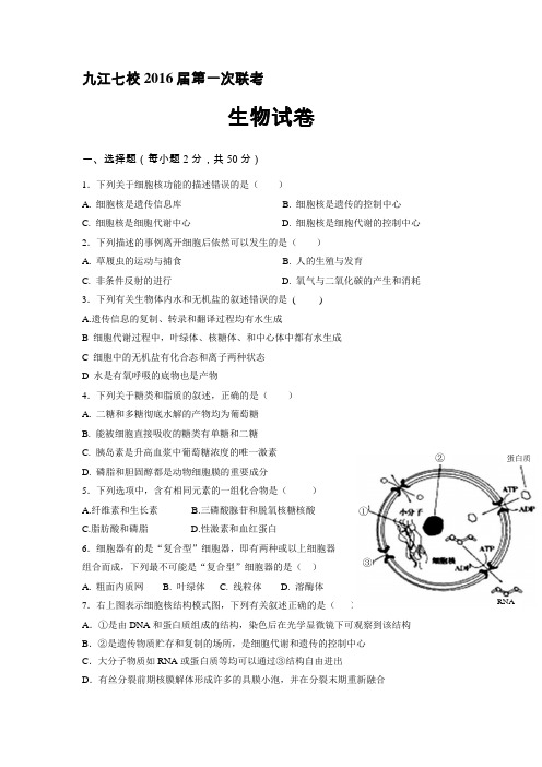 江西省九江市七校2016届高三第一次联考生物试题