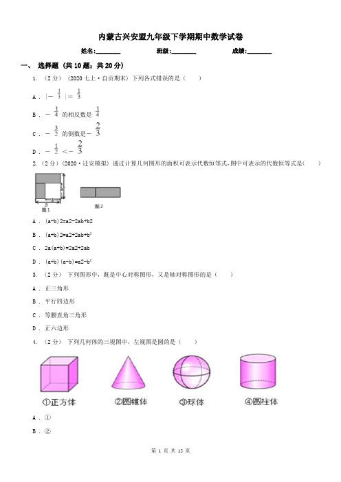 内蒙古兴安盟九年级下学期期中数学试卷