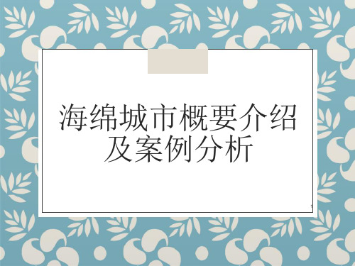 海绵城市概要介绍及案例分析课件