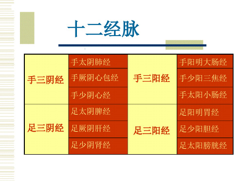 经络腧穴各论PPT医学课件