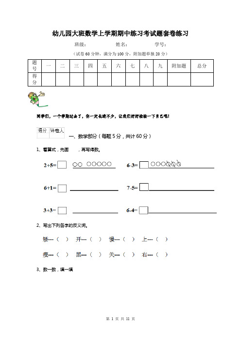 幼儿园大班数学上学期期中练习考试题套卷练习