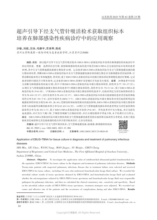 超声引导下经支气管针吸活检术获取组织标本培养在肺部感染性疾病诊疗中的应用观察