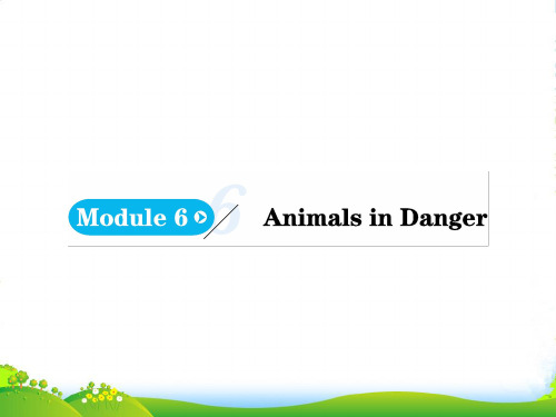 高中英语必修五(外研版)课件：Module+6+Animals+in+Danger+Period+1