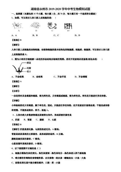 湖南省永州市2019-2020学年中考生物模拟试题含解析