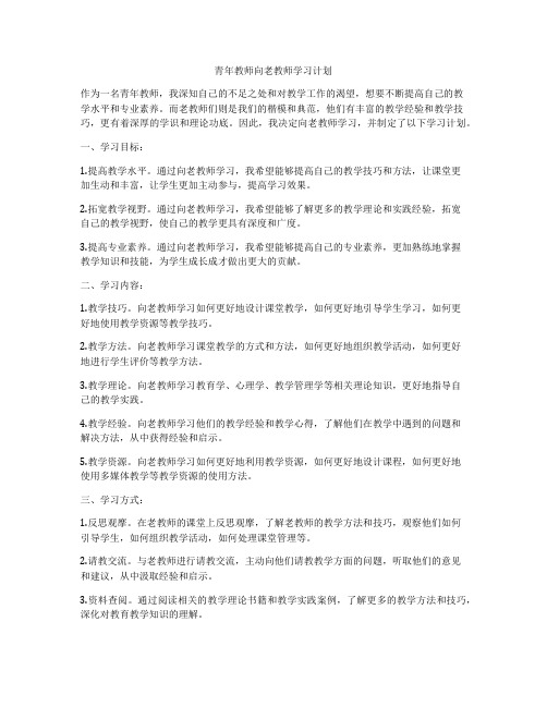 青年教师向老教师学习计划