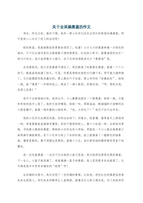 关于去采摘桑葚的作文