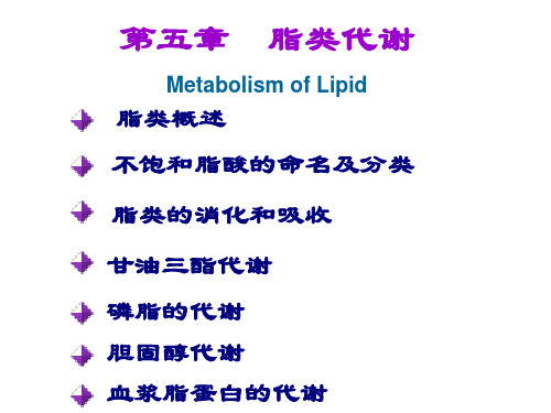 生物化学课件 第五章 脂类代谢PPT幻灯片