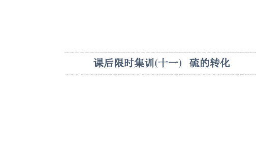 2022版新高考化学鲁科版一轮课件集训：课后集训11 硫的转化