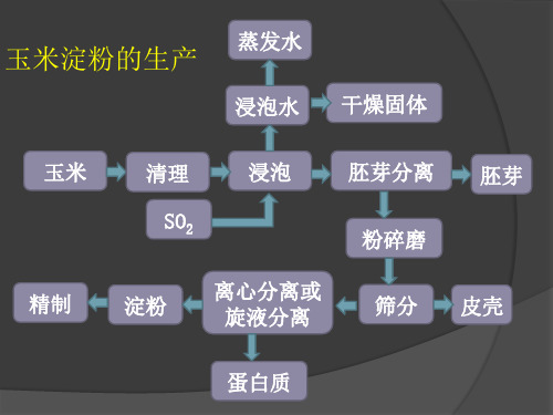 玉米淀粉