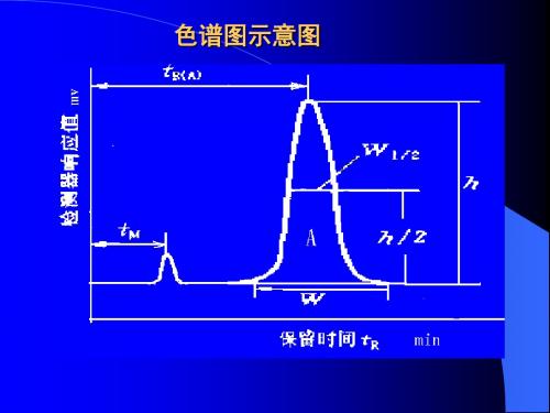 色谱基本理论