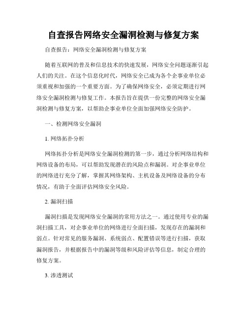 自查报告网络安全漏洞检测与修复方案