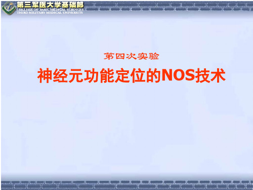 实验4 NOS