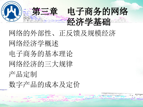 第3章网络经济学基础