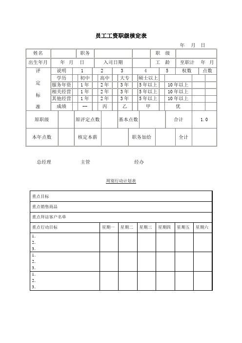 员工工资职级核定表-模板