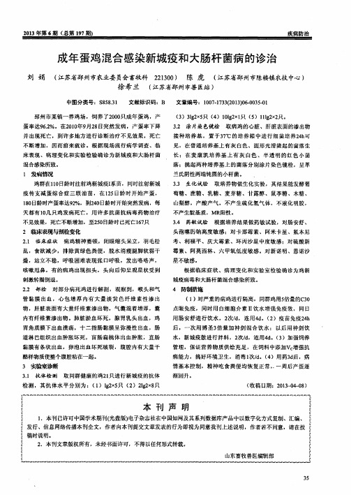 成年蛋鸡混合感染新城疫和大肠杆菌病的诊治