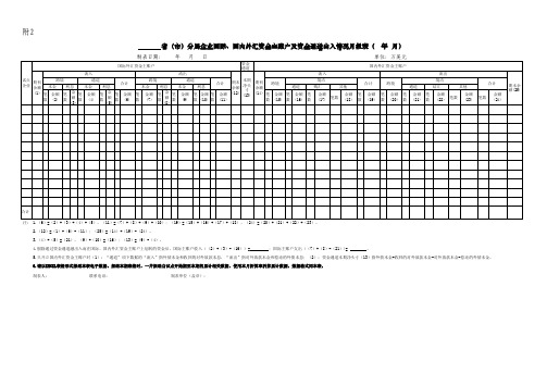 附2：企业国际、国内外汇资金主账户及资金通道出入情况月报表