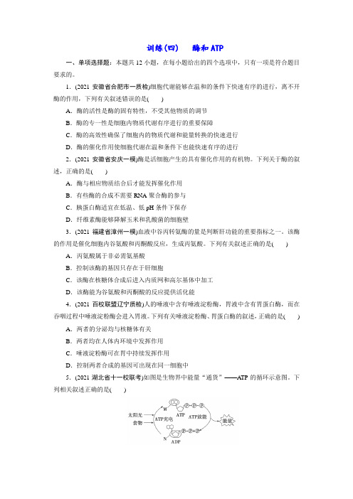 新高考生物专题训练2—代谢：第4讲  酶和ATP(学生版含答案详解)