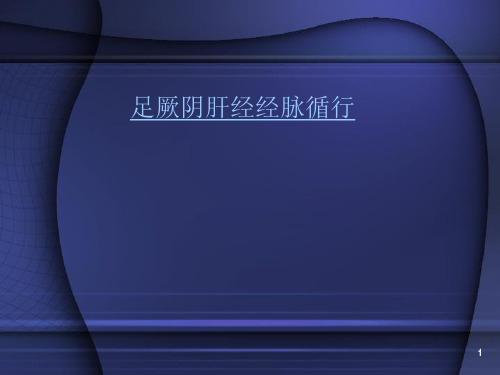 2.12.2第二章第十二节足厥阴肝经